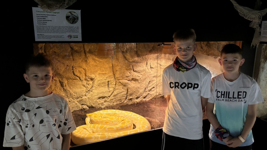 młodzież lato jastrzębia góra