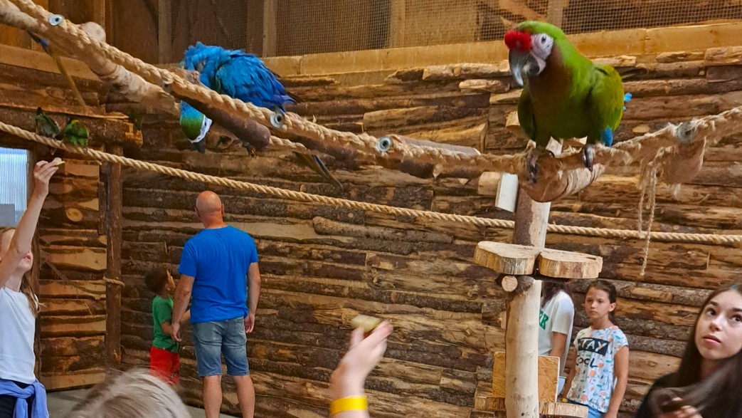 młodzież lato jastrzębia góra